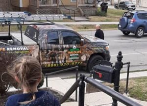 Wildlife removal truck