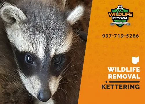 Kettering Wildlife Removal professional removing pest animal