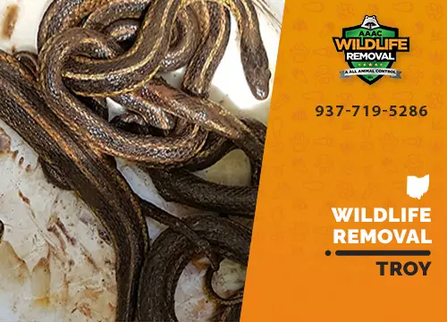 Troy Wildlife Removal professional removing pest animal